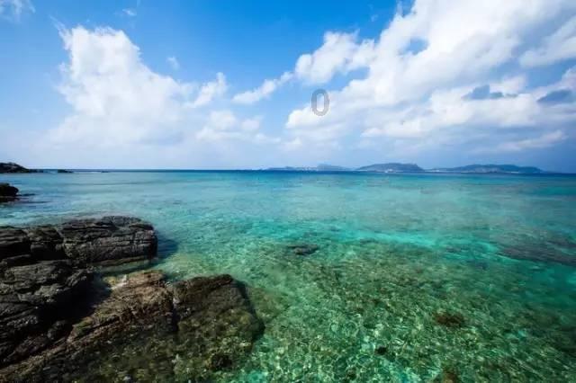 “龙经济”热度狂飙，联名周边炙手可热，海外订单激增