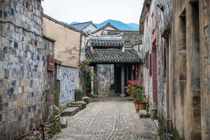 生化危机：浣熊市行动